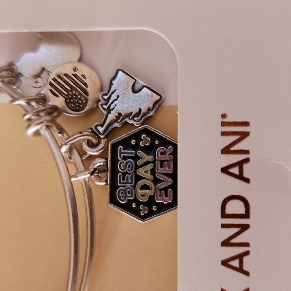 NEW Alex and Ani Disney Best Day Ever silver charm bangle bracelet - Picture 2 of 5